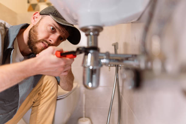 Best Residential Plumbing Services  in Le Mars, IA